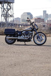 DYNA DEFENDER or FXDP BAGS