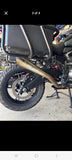 Pan America saddlebags