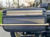 DYNA DEFENDER or FXDP BAGS