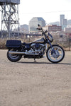 DYNA DEFENDER or FXDP BAGS