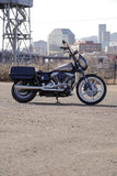DYNA DEFENDER or FXDP BAGS