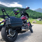DYNA DEFENDER or FXDP BAGS