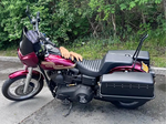 DYNA DEFENDER or FXDP BAGS