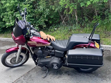DYNA DEFENDER or FXDP BAGS