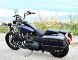 DYNA DEFENDER or FXDP BAGS