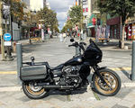 DYNA DEFENDER or FXDP BAGS
