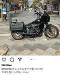 DYNA DEFENDER or FXDP BAGS